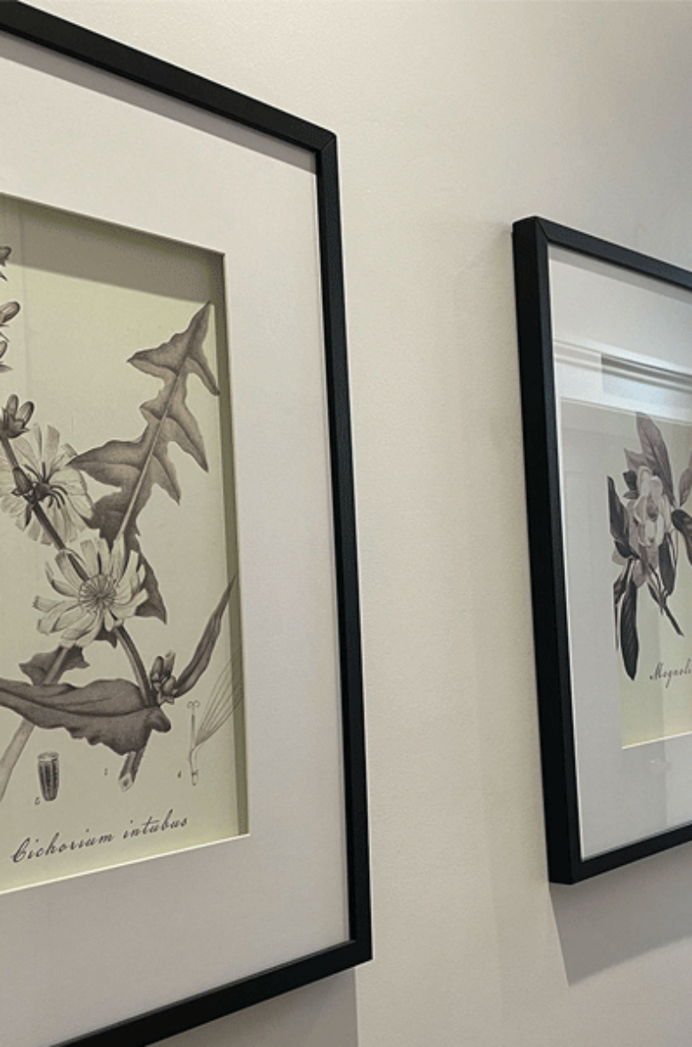  Practice Gallery - Rotherholme Dental